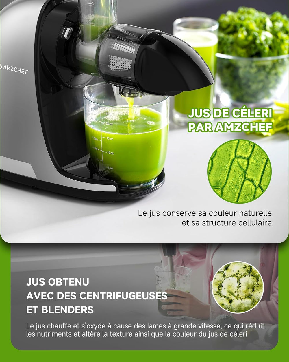 AMZCHEF Extracteur Jus - Extracteur de Jus de Fruits et Légumes - Presses-agrumes à Froid sans BPA avec 2 Tasses et Brosse - Fonction de Mastication Inversée pour Éviter les Blocages - Argent