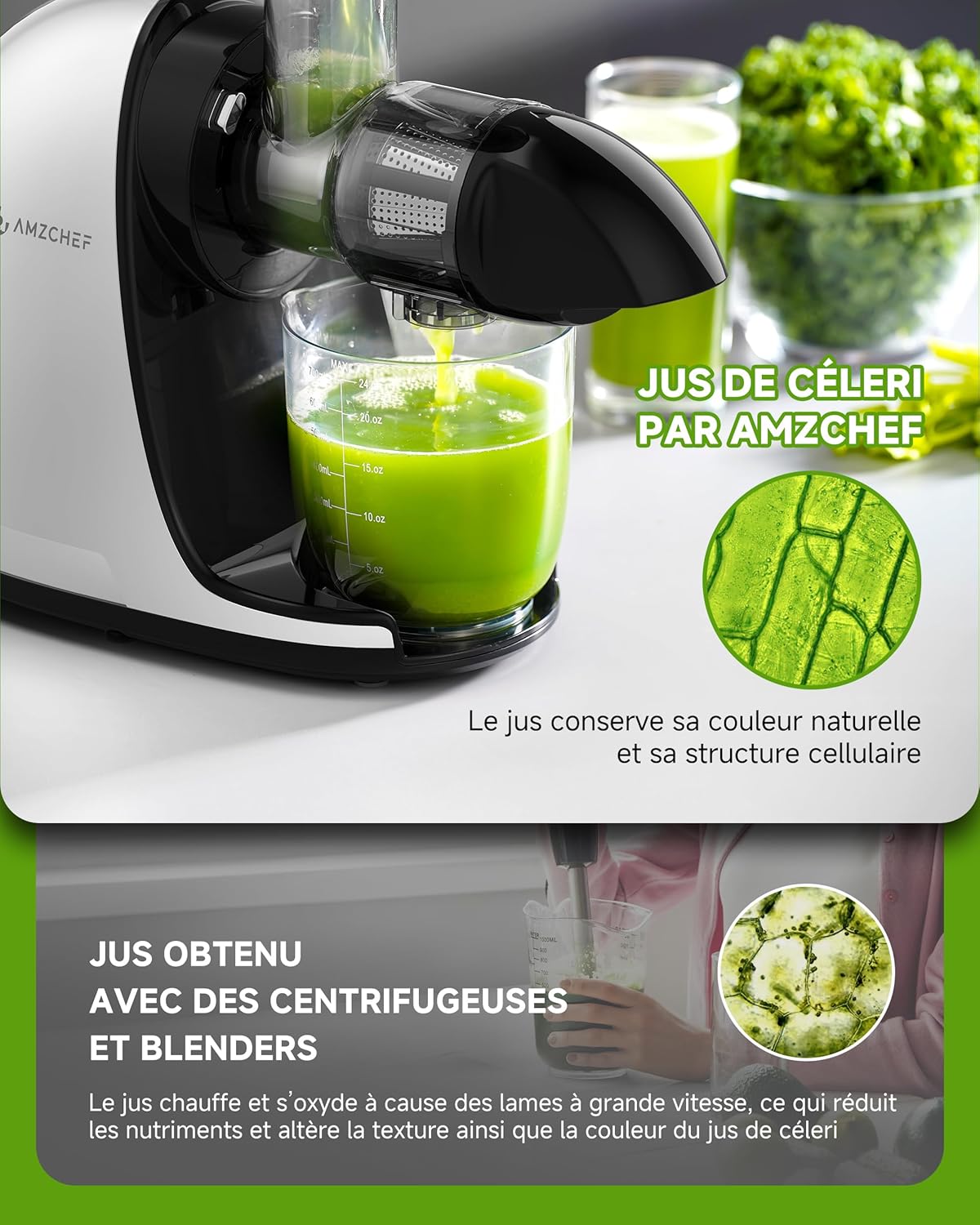 AMZCHEF Extracteur Jus - Extracteur de Jus de Fruits et Légumes - Presses-agrumes à Froid sans BPA avec 2 Tasses et Brosse - Fonction de Mastication Inversée pour Éviter les Blocages - Argent